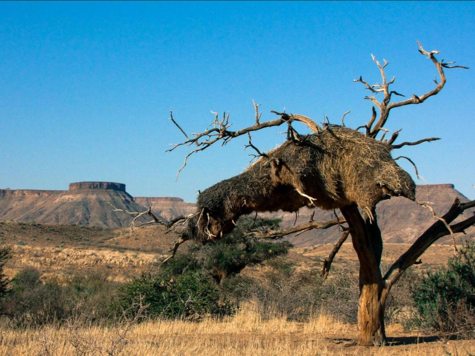 Mount Canyon Guest Farm Keetmanshoop Εξωτερικό φωτογραφία