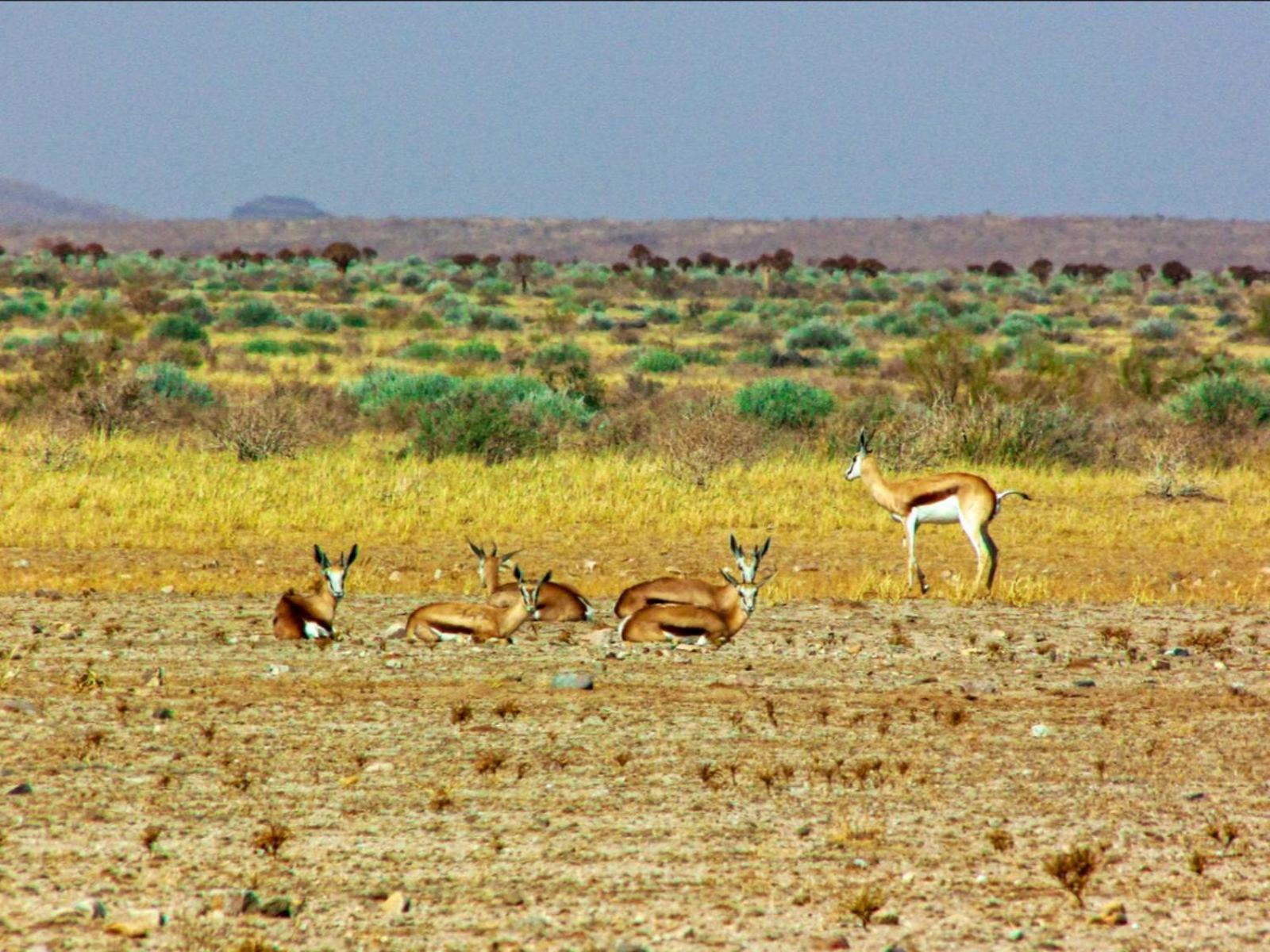 Mount Canyon Guest Farm Keetmanshoop Εξωτερικό φωτογραφία