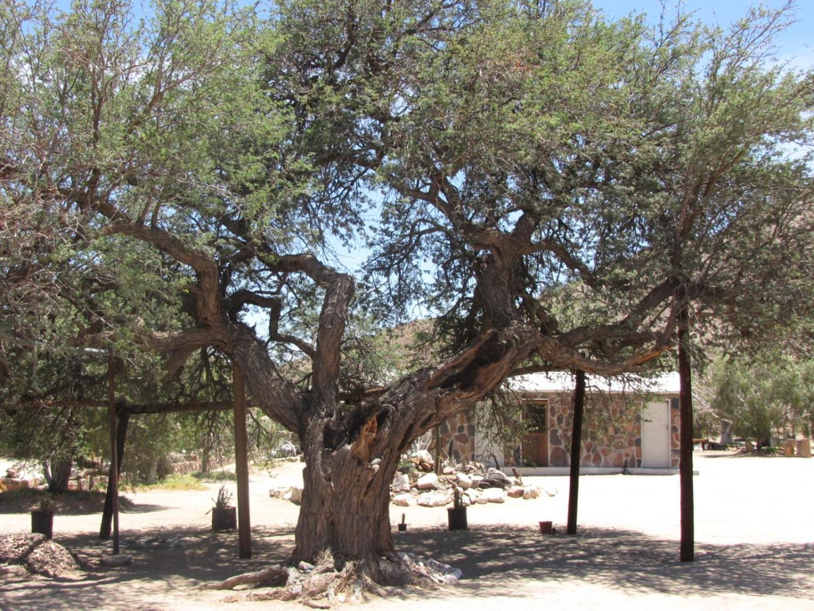 Mount Canyon Guest Farm Keetmanshoop Εξωτερικό φωτογραφία